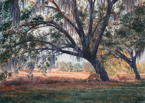 Bountiful Oak
