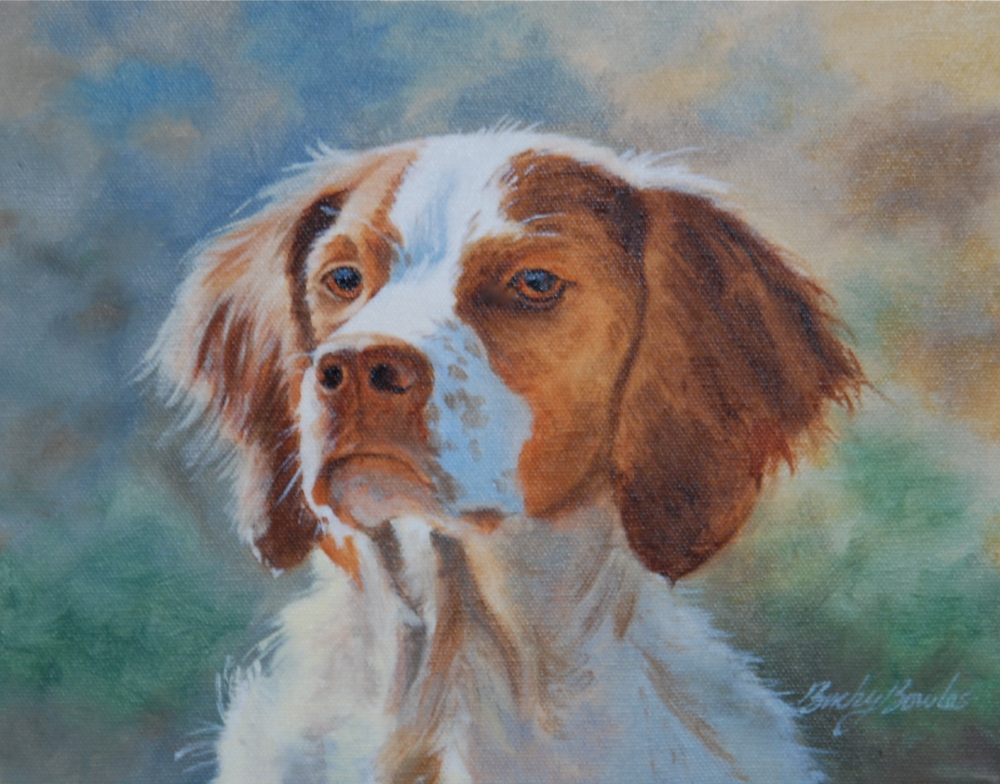 Brittany Spaniel