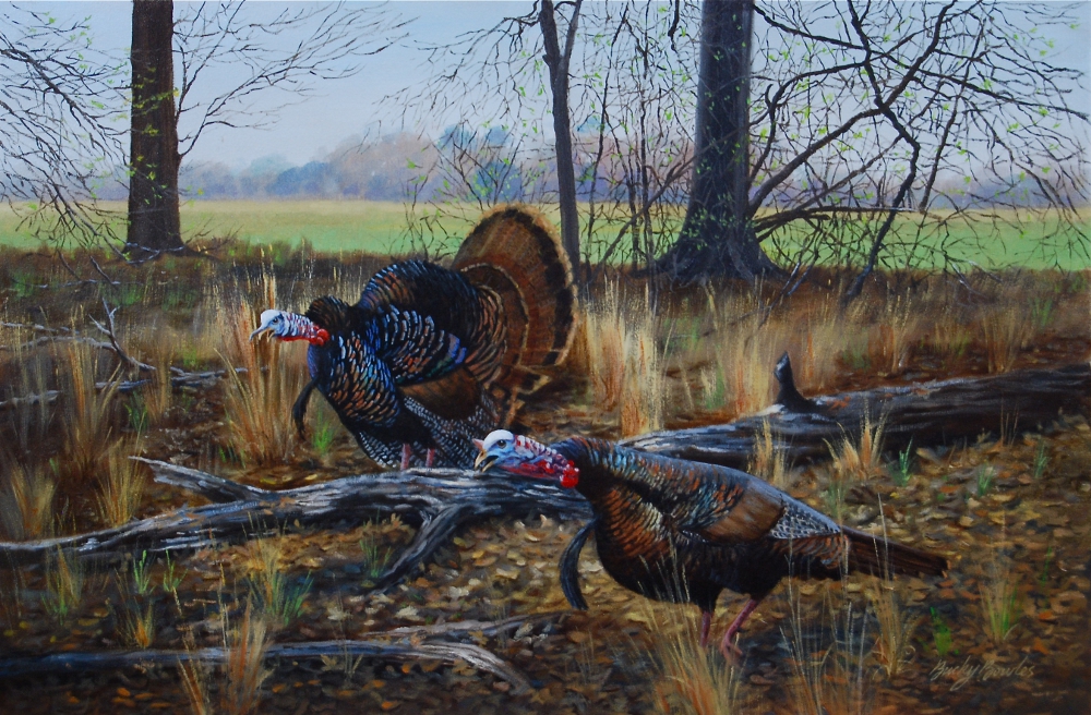 Gobblers on Edge