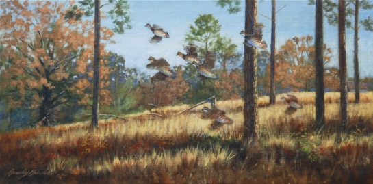 Hillside Covey