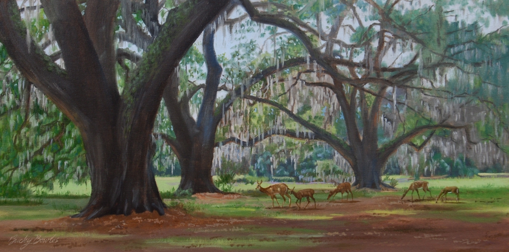 Low Country Oaks