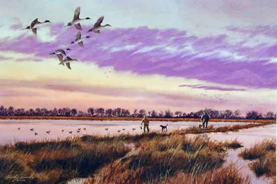 Pintails Too Early