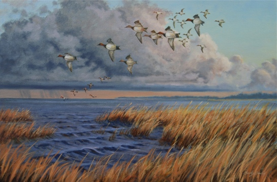 Skirting the Storm