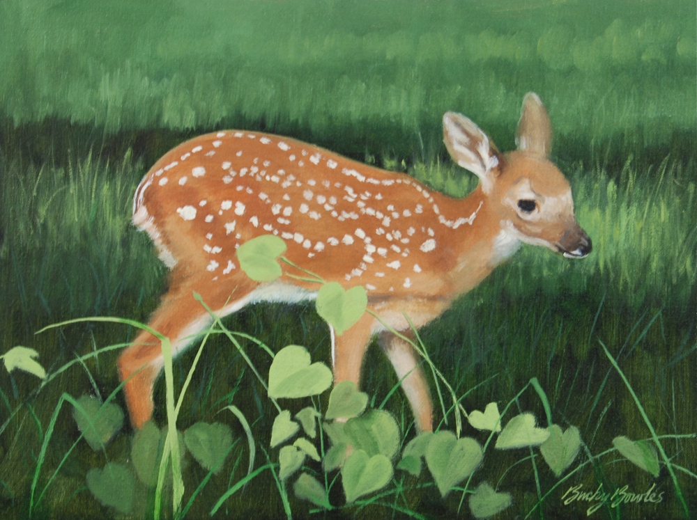 Summer Fawn
