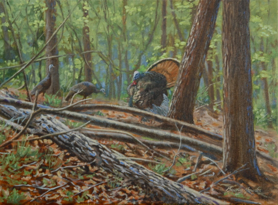 Tangled Timber Turkeys
