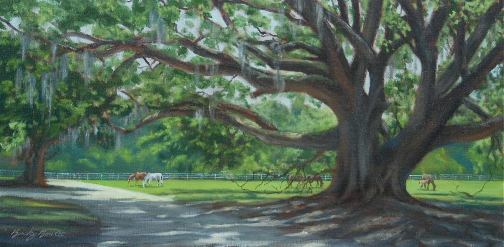 The Pasture Oak