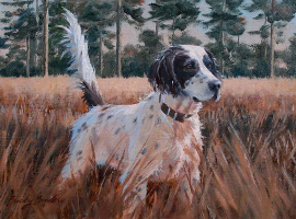 Black and White English Pointer