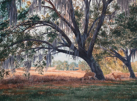 Bountiful Oak