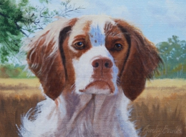 Brittany Spaniel