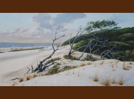 Cumberland Island