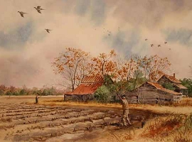 Doves at the Ole Home Place