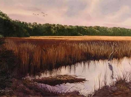 Fishing The Marsh