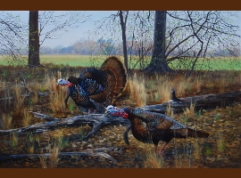 Gobblers on Edge