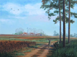 Introduction to Dove Hunting