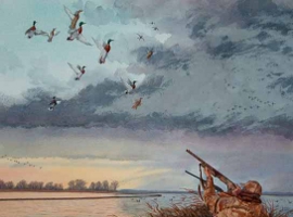 Mallard Surprise