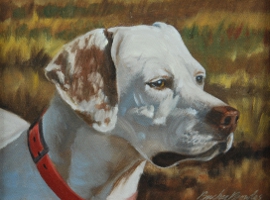 Pointer Head Study