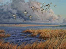 Skirting the Storm