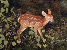 Spots