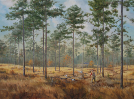 Windfall Covey